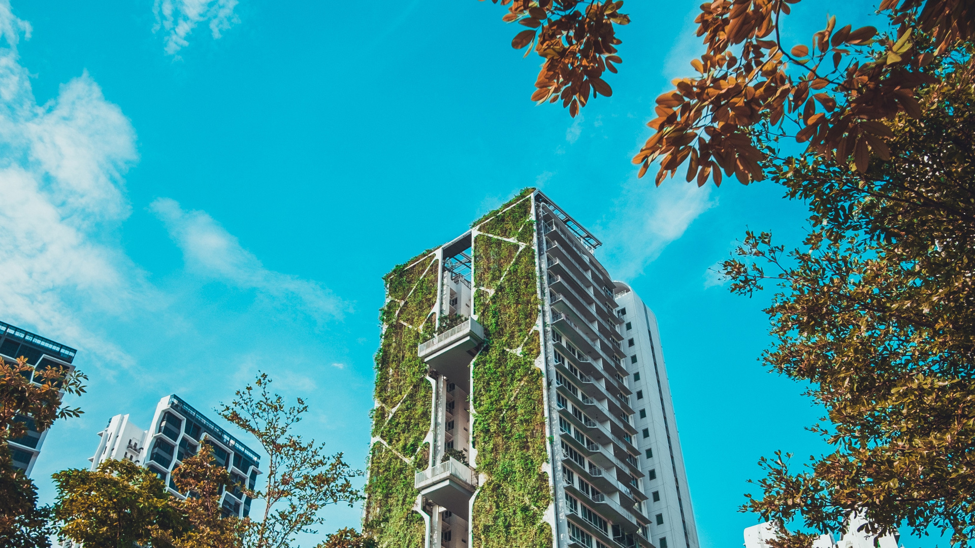 151598 Brown And White Concrete Building Under Blue Sky During Daytime 1920x1080 1